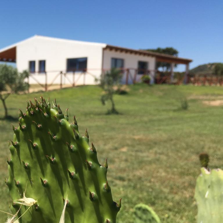 Agriturismo Mieleamaro Villa Olbia Exterior photo